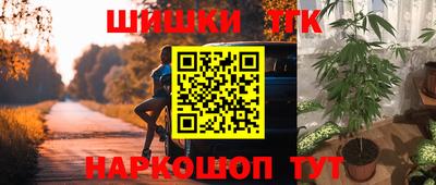 крисы Бердск