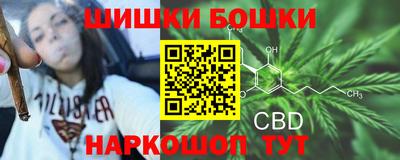крисы Бердск