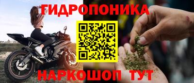 крисы Бердск