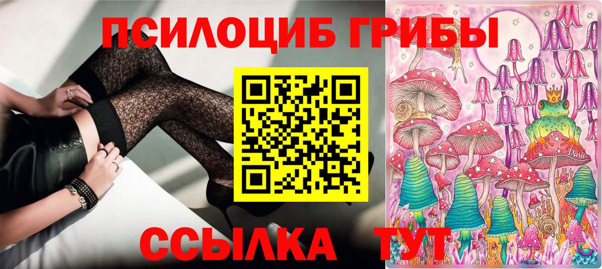 Выкса  Галлюциногенные грибы Psilocybine cubensis  Вход с VPN 
