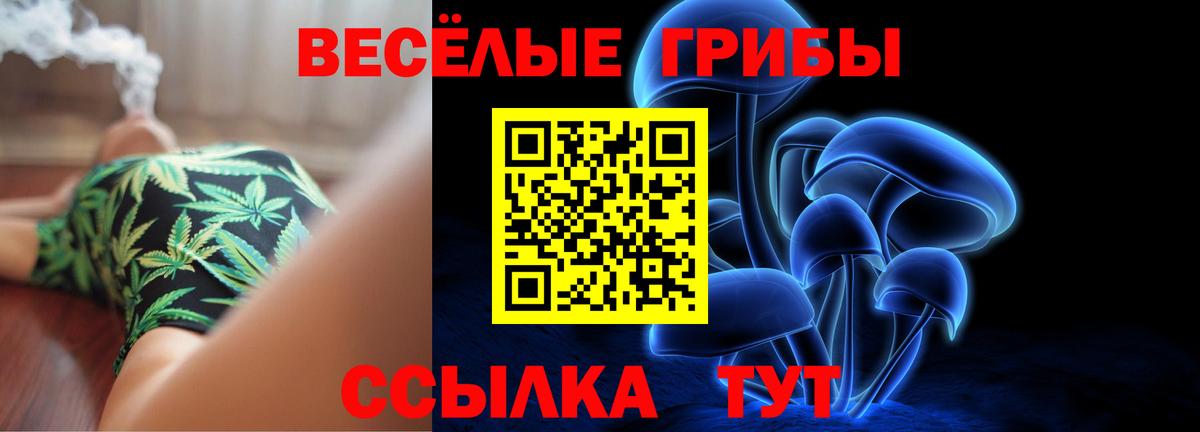Псилоцибиновые грибы мухоморы Выкса